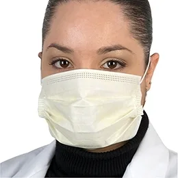 Disposable Medical Face Mask